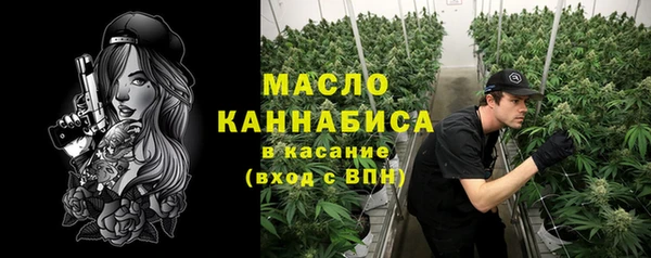 тгк Фёдоровский