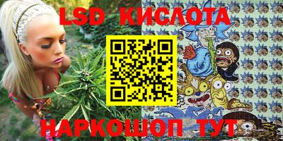 стаф Гагарин