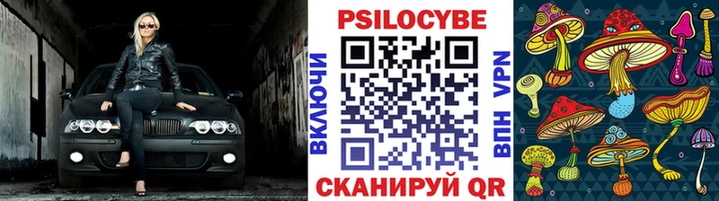 Псилоцибиновые грибы Cubensis  Псков 