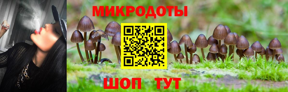 Псилоцибиновые грибы Psilocybine cubensis  Вход с VPN  Псков 